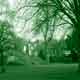 Greenfield Gardens, Stourbridge